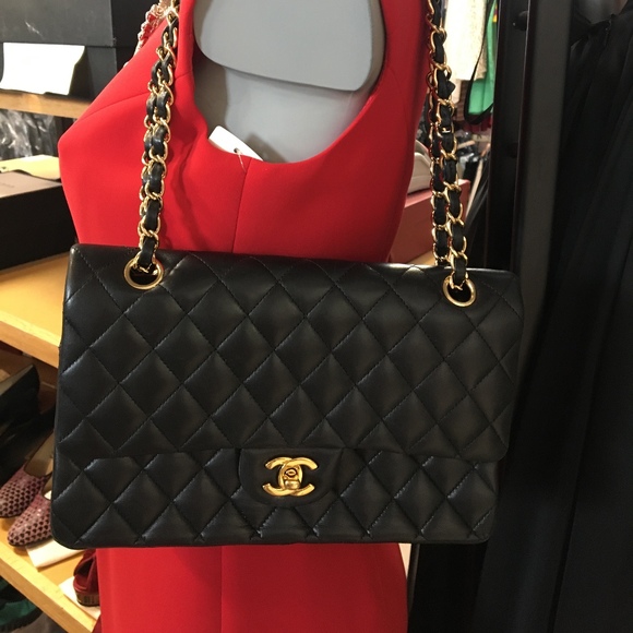 Meet your Posher, Adeline - Picture 1 of 1